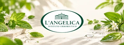 Angelica